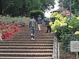 相模原北公園の長い階段を利用者が歩いている写真