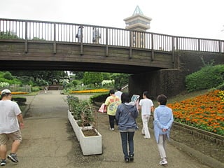 麻溝公園：花道を歩きながらタワーを目指す
