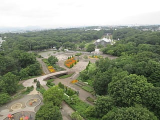 麻溝公園タワー展望台から見える景色